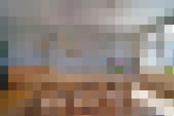 van Alphenstraat 98 Voorburg thumbnail 12