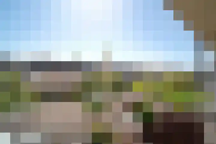 van Alphenstraat 98 Voorburg thumbnail 18