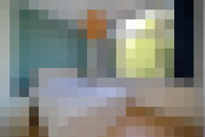van Alphenstraat 98 Voorburg thumbnail 19