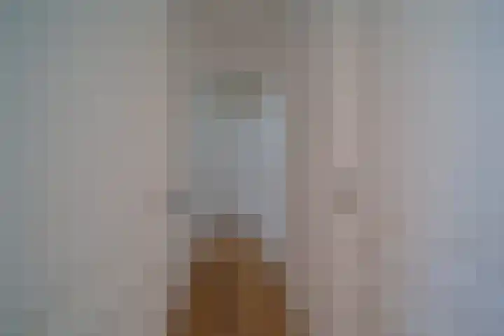 van Alphenstraat 98 Voorburg thumbnail 20