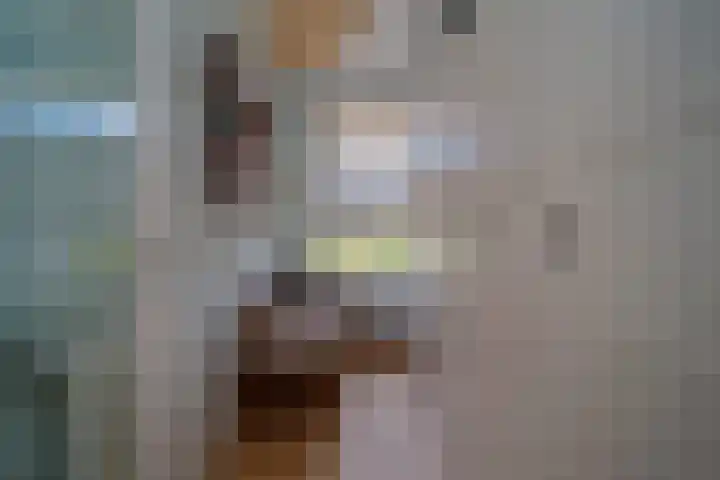 van Alphenstraat 98 Voorburg thumbnail 21