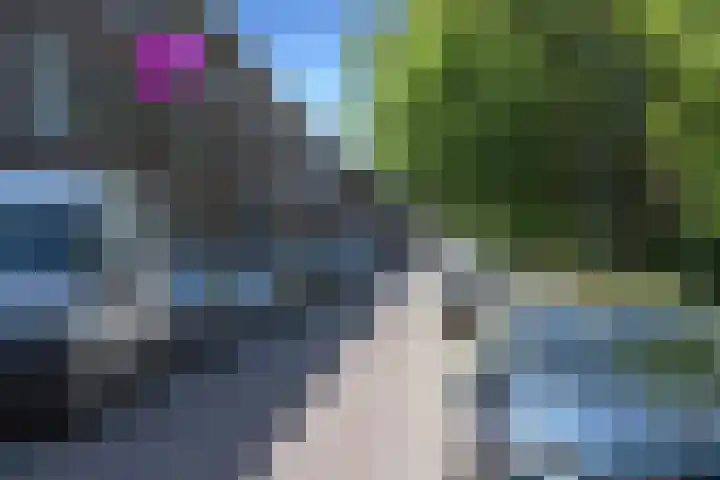 van Alphenstraat 98 Voorburg thumbnail 25