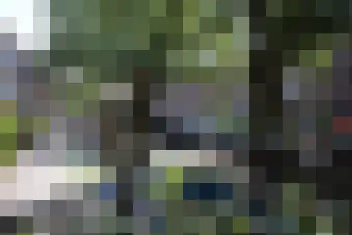 van Alphenstraat 98 Voorburg thumbnail 26