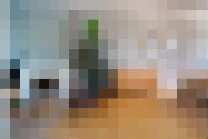 van Alphenstraat 98 Voorburg thumbnail 5