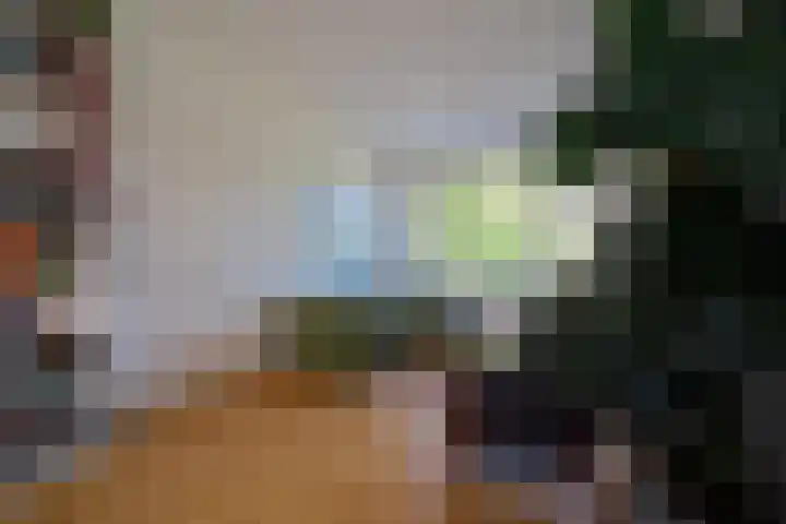 van Alphenstraat 98 Voorburg thumbnail 6
