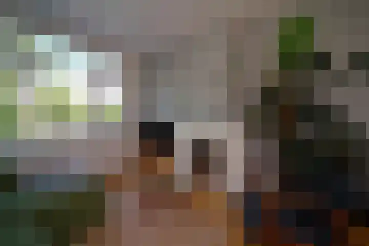 van Alphenstraat 98 Voorburg thumbnail 7