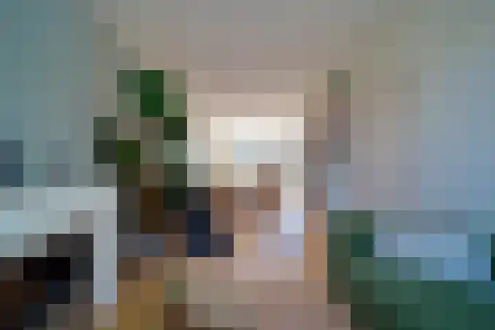 van Alphenstraat 98 Voorburg thumbnail 8