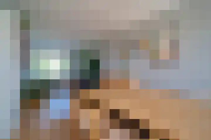 van Alphenstraat 98 Voorburg thumbnail 9
