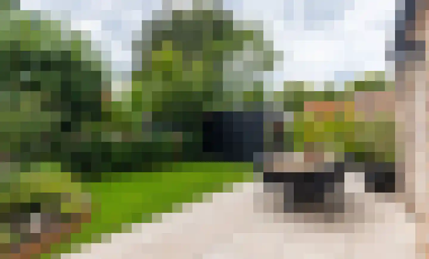van Ambestraat 29 d Bemmel thumbnail 23