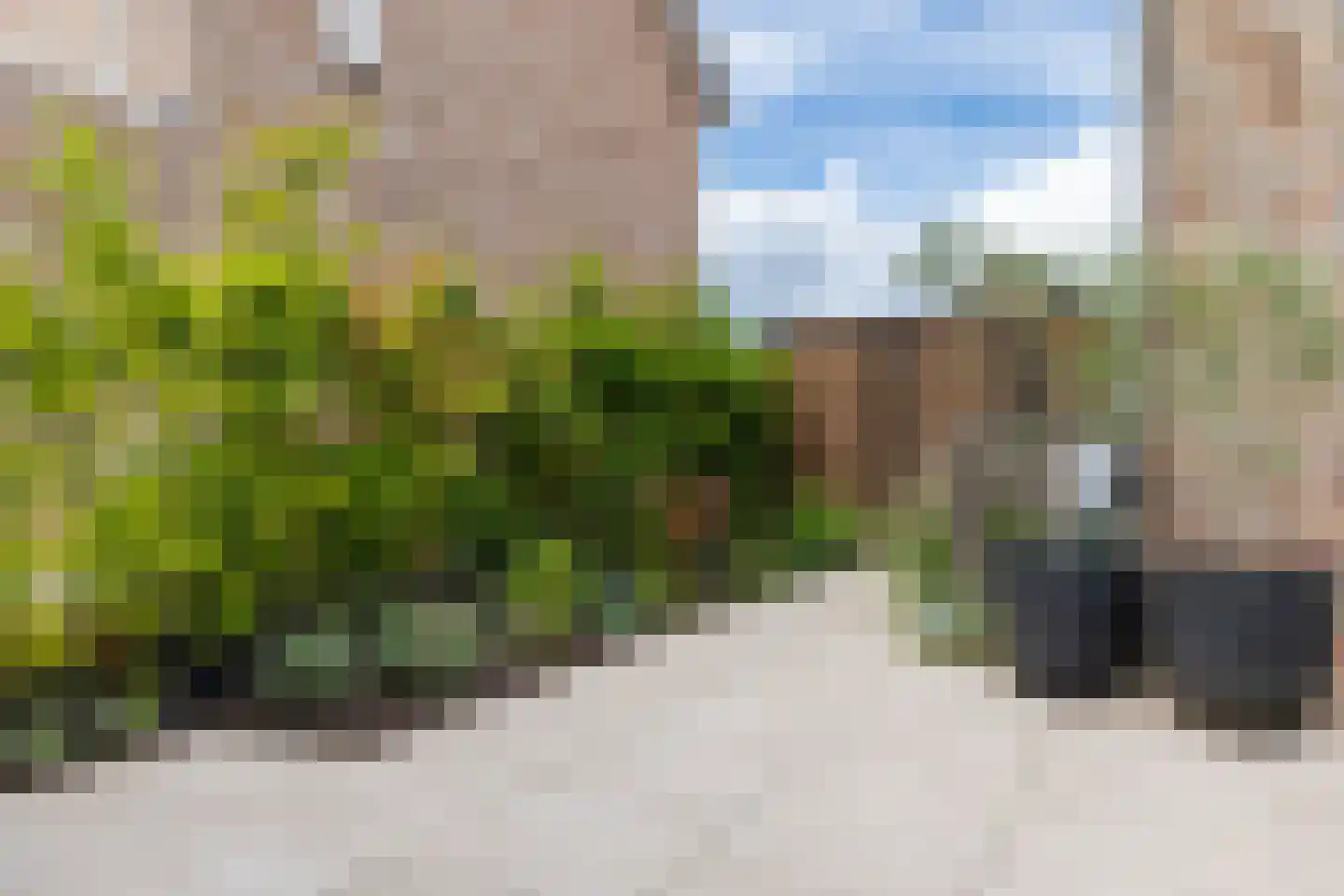 van Ambestraat 29 d Bemmel thumbnail 25