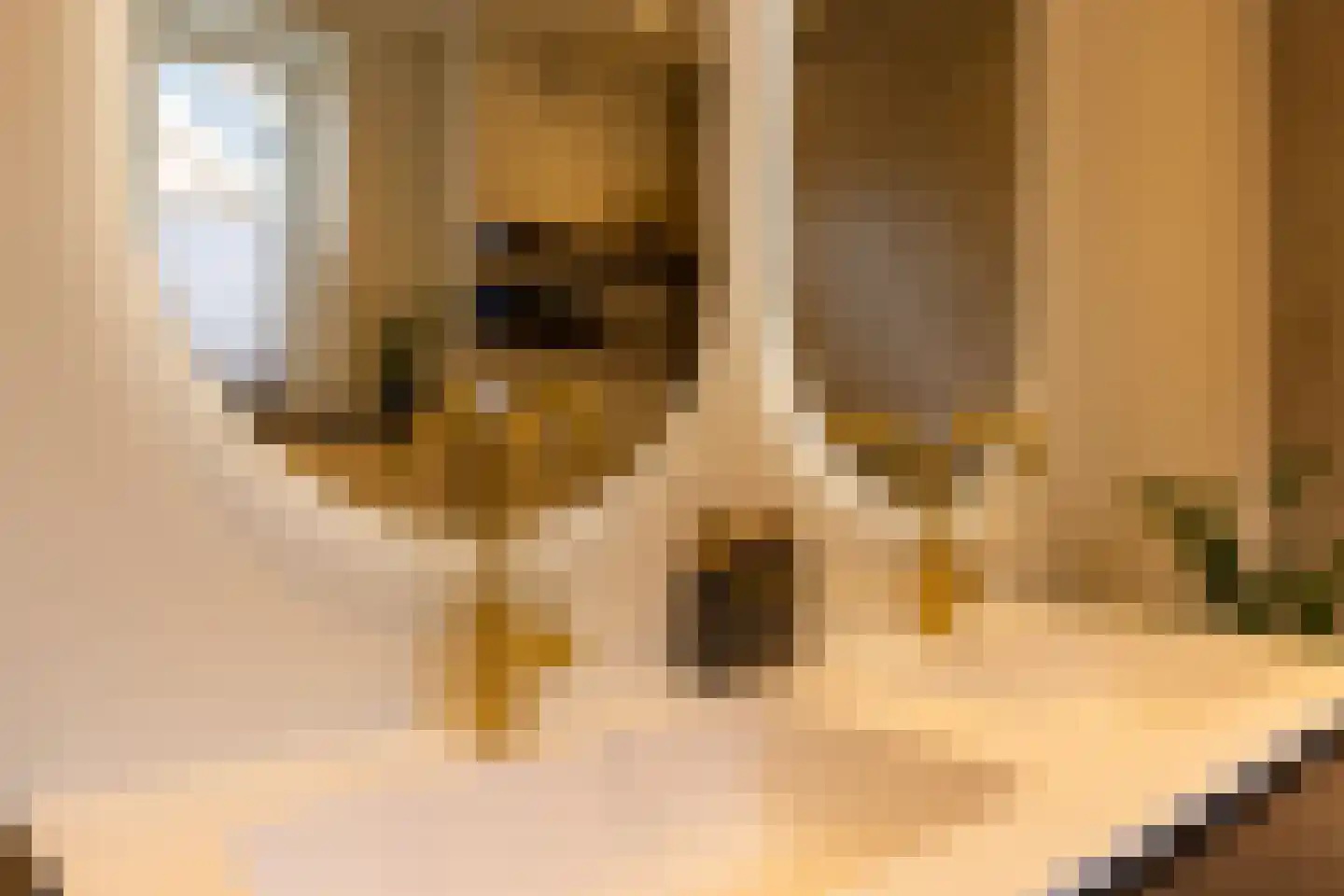 van Ambestraat 29 d Bemmel thumbnail 31