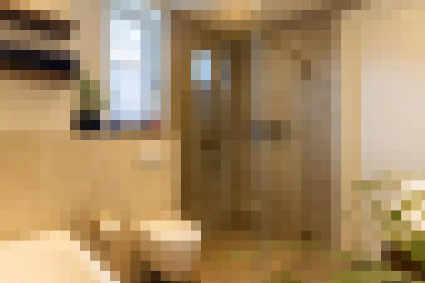 van Ambestraat 29 d Bemmel thumbnail 32