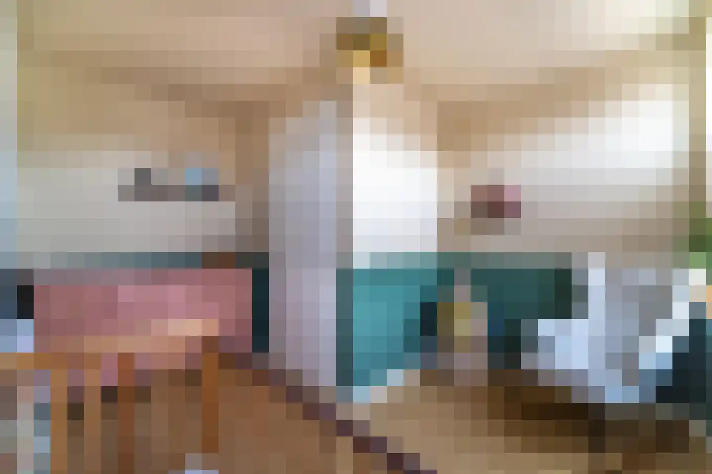 van Ambestraat 29 d Bemmel thumbnail 34