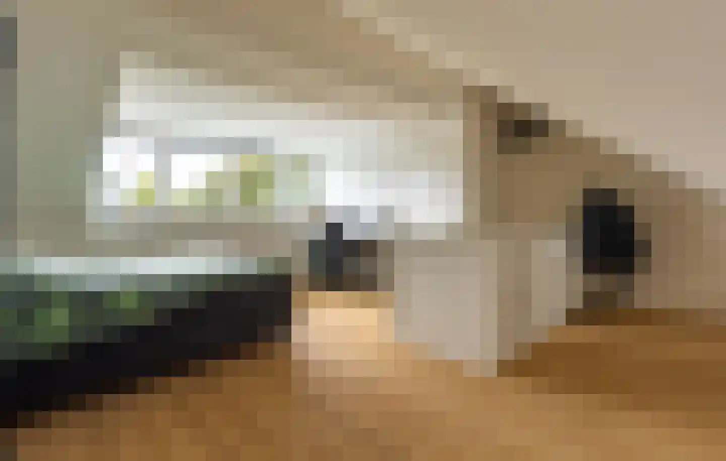 van Ambestraat 29 d Bemmel thumbnail 36