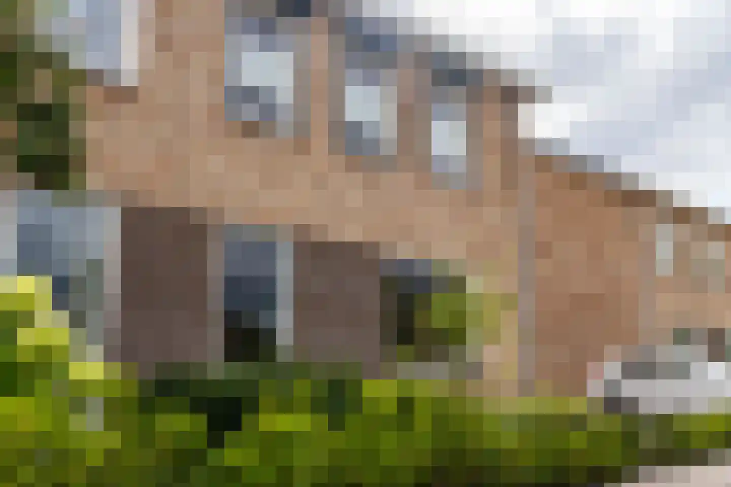 van Ambestraat 29 d Bemmel thumbnail 40