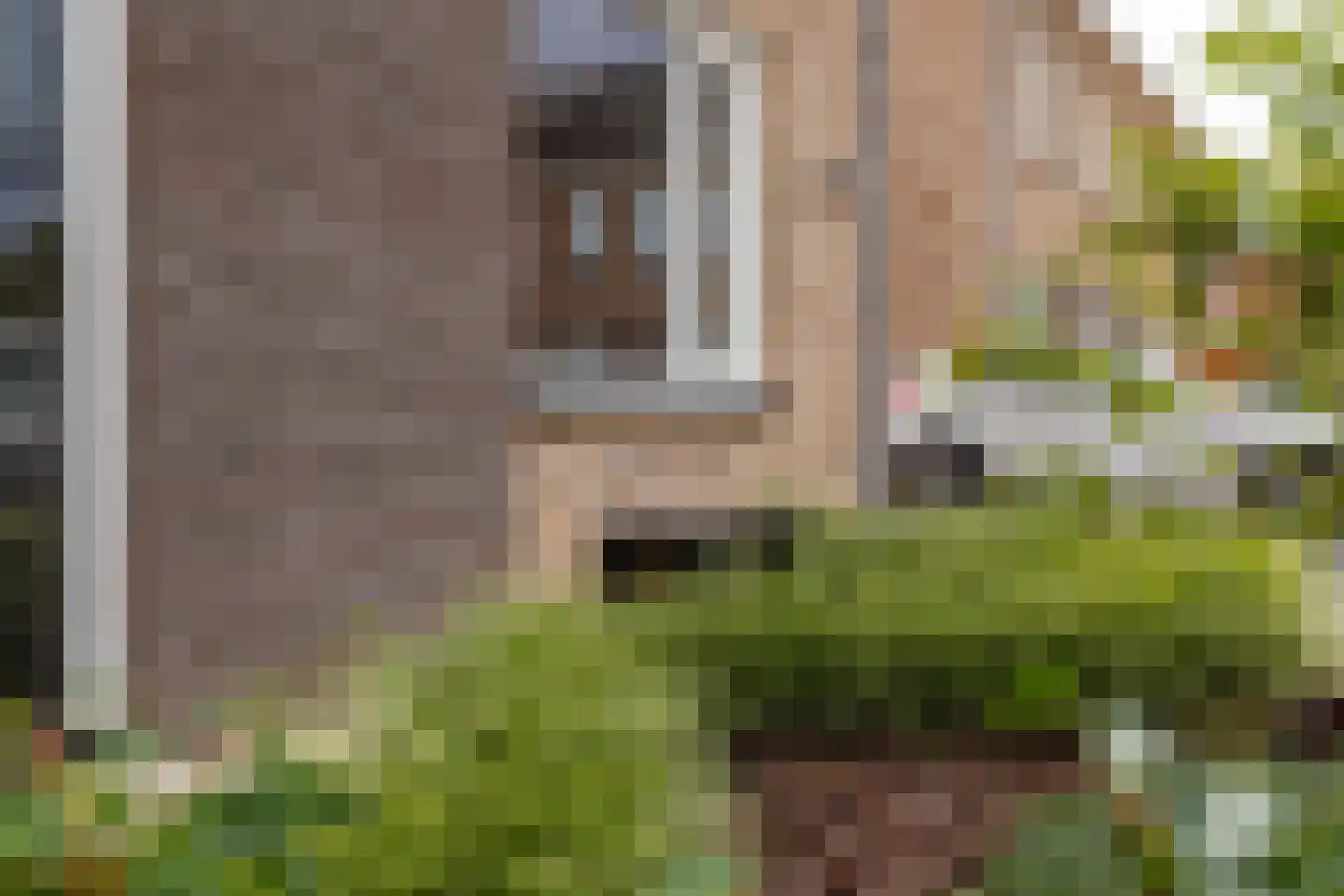 van Ambestraat 29 d Bemmel thumbnail 41