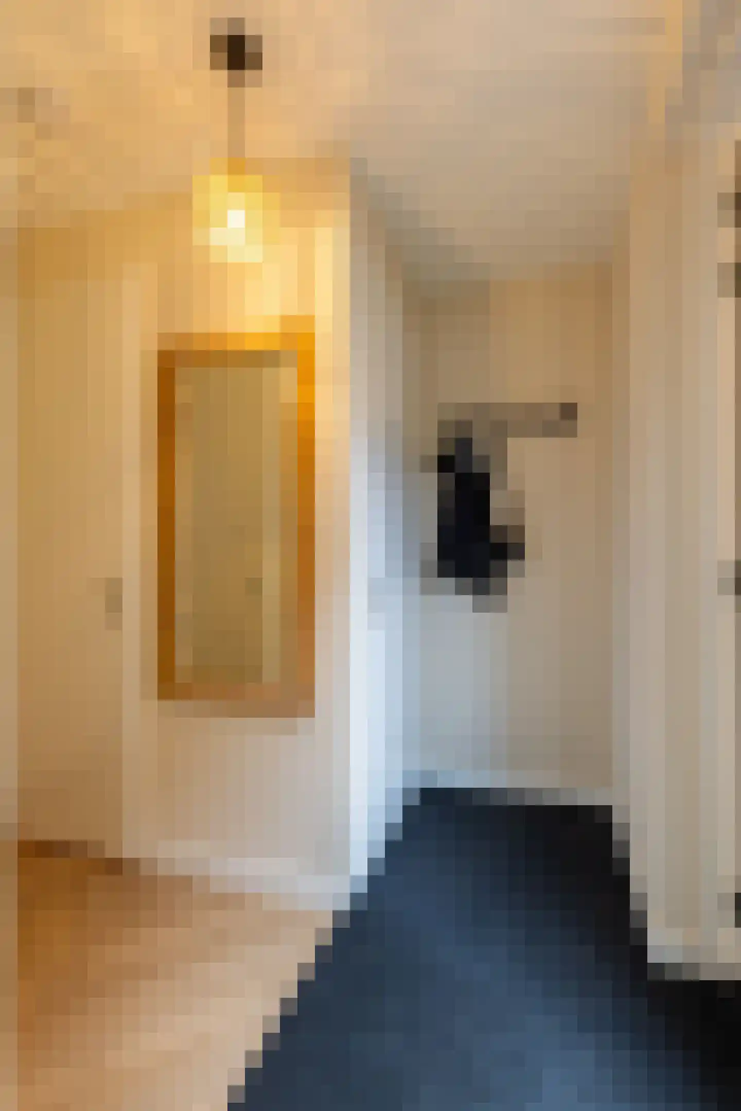 van Ambestraat 29 d Bemmel thumbnail 7