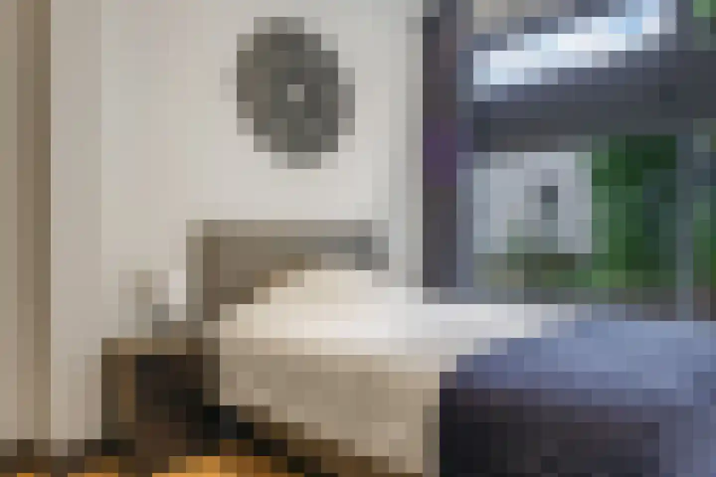 van Ambestraat 4 a Bemmel thumbnail 23