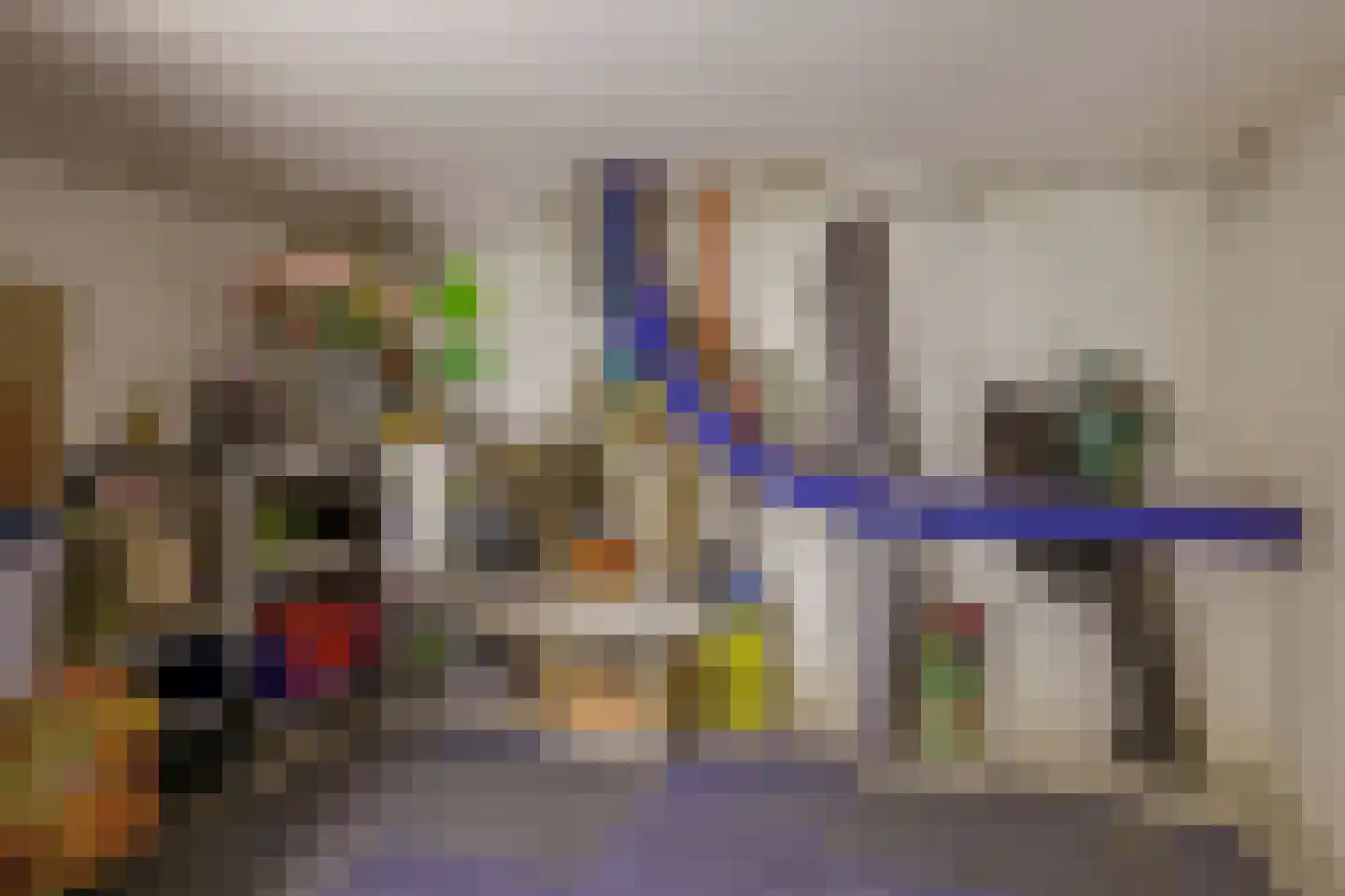 van Ambestraat 4 a Bemmel thumbnail 29