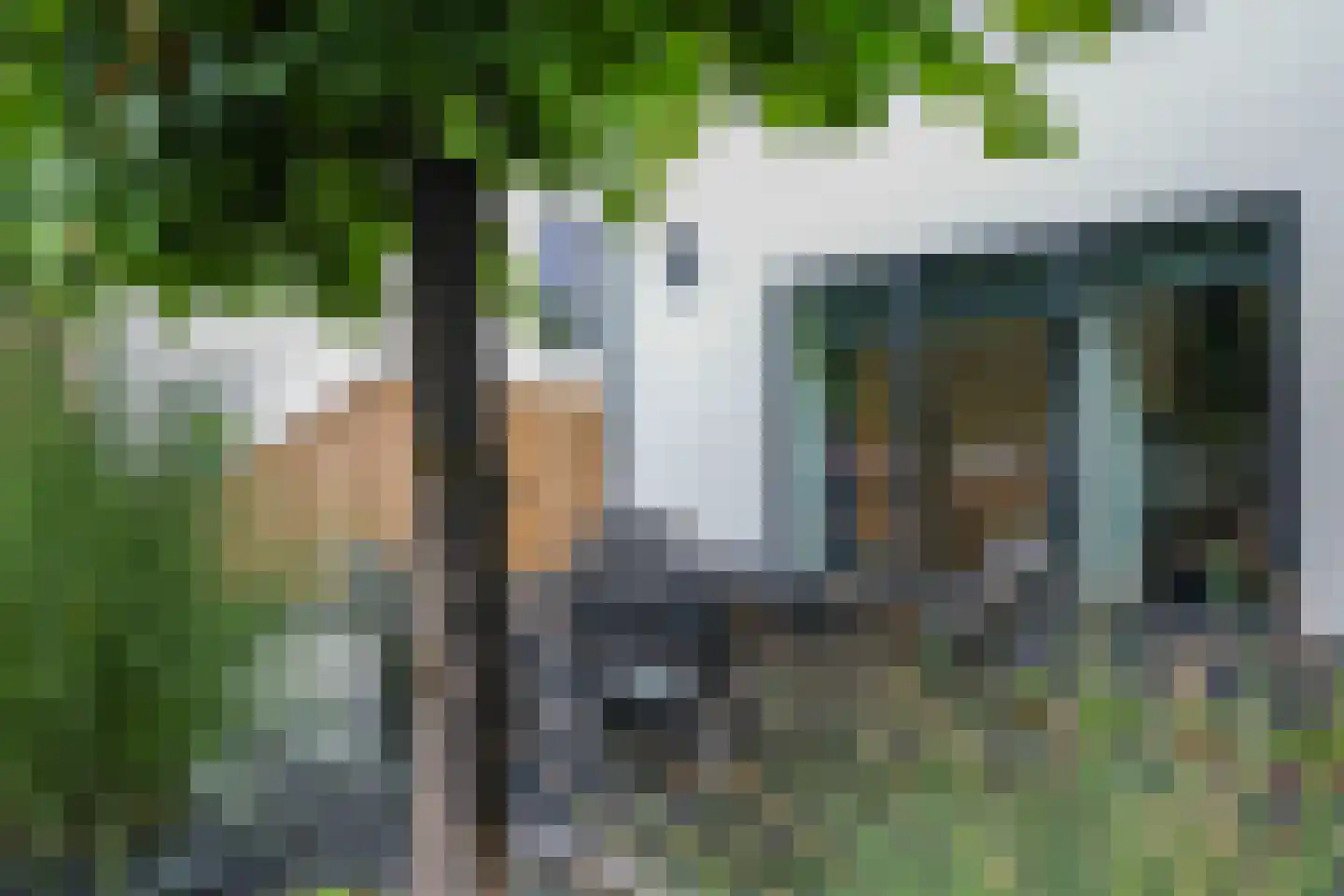 van Ambestraat 4 a Bemmel thumbnail 31