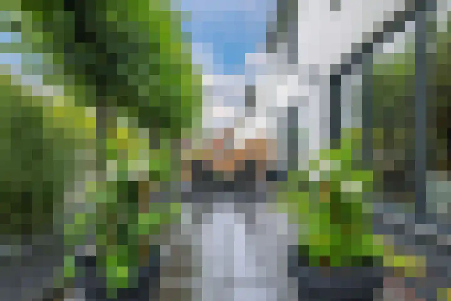 van Ambestraat 4 a Bemmel thumbnail 33