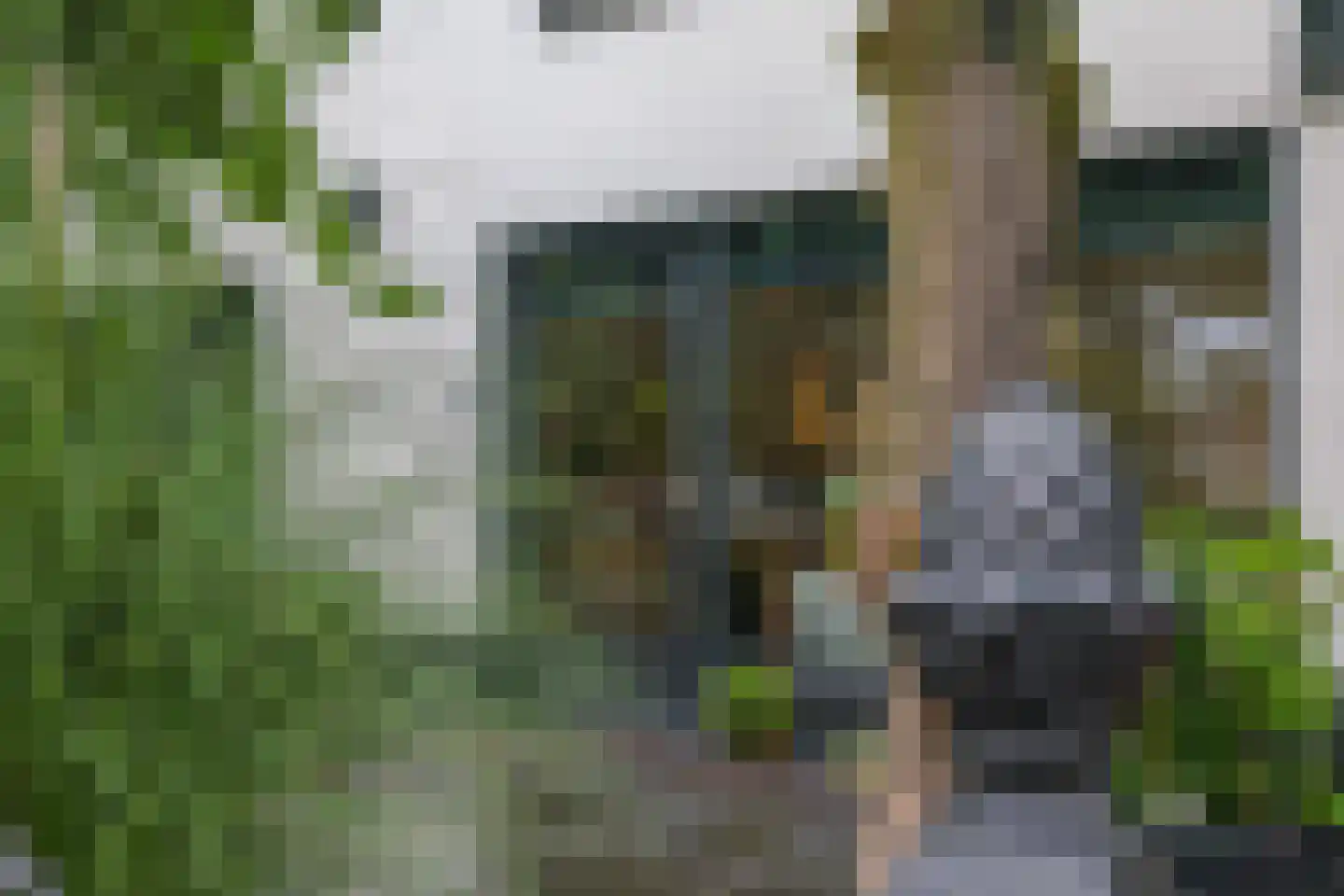 van Ambestraat 4 a Bemmel thumbnail 36