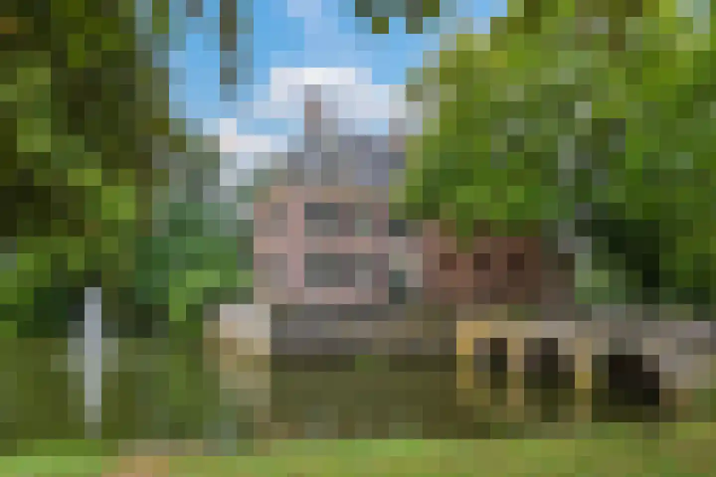 van Ambestraat 4 a Bemmel thumbnail 45
