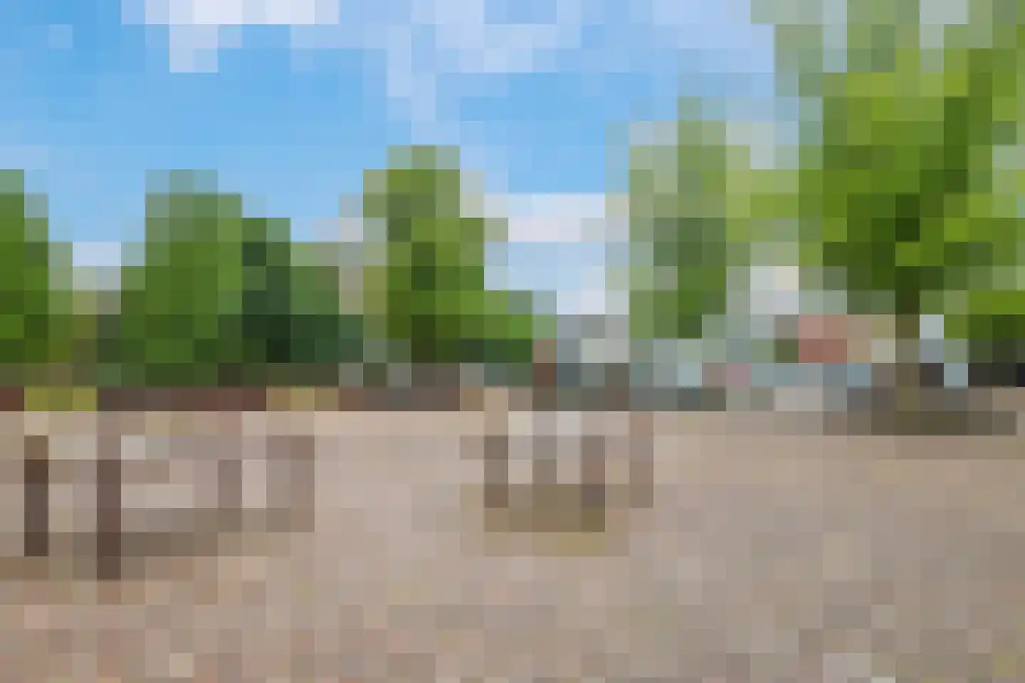 van Ambestraat 4 a Bemmel thumbnail 46