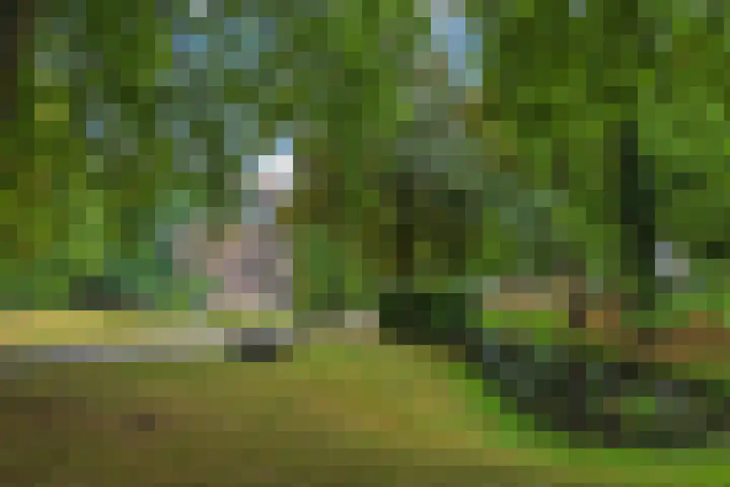 van Ambestraat 4 a Bemmel thumbnail 47