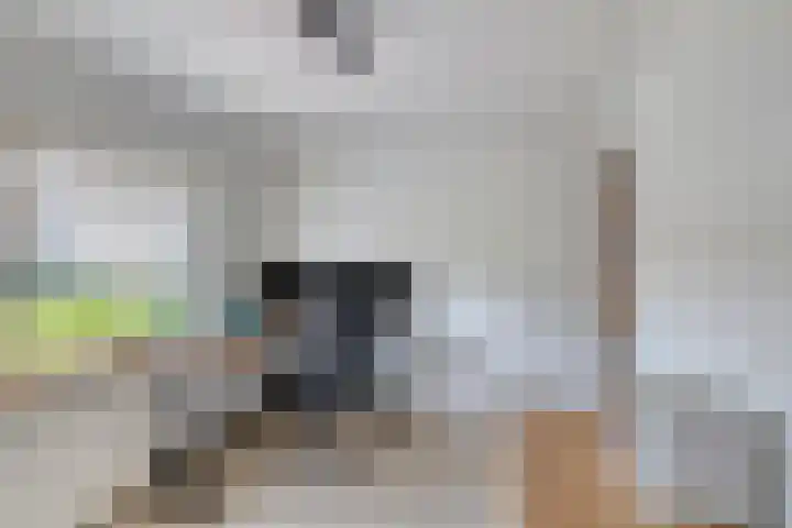 van Ambestraat 5 Bemmel thumbnail 17