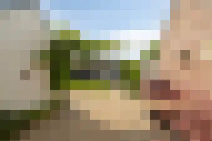 van Ambestraat 5 Bemmel thumbnail 21