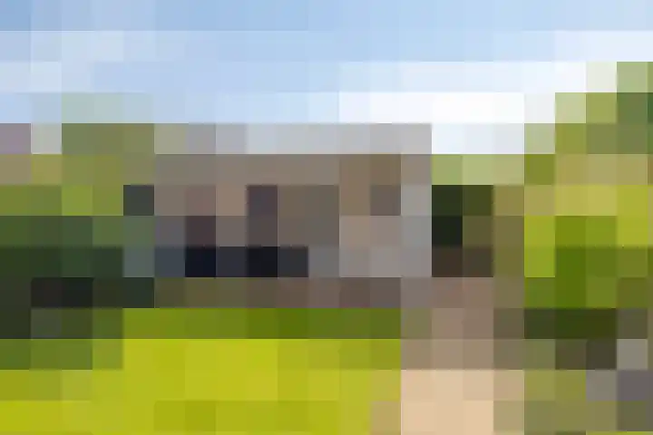 van Ambestraat 5 Bemmel thumbnail 23
