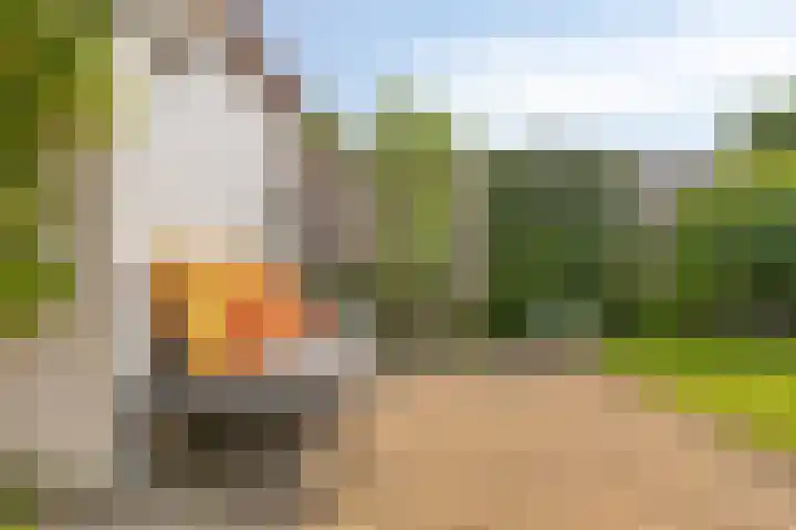 van Ambestraat 5 Bemmel thumbnail 24