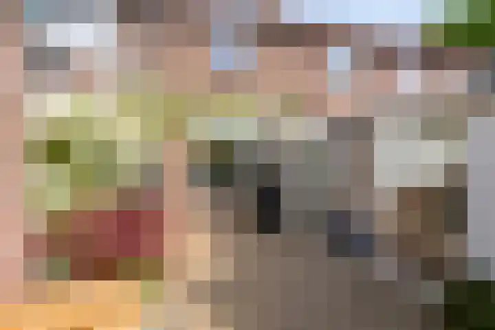 van Ambestraat 5 Bemmel thumbnail 26