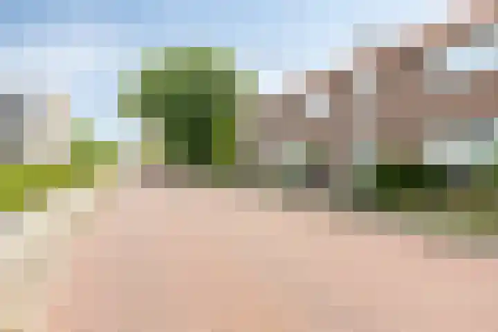 van Ambestraat 5 Bemmel thumbnail 29