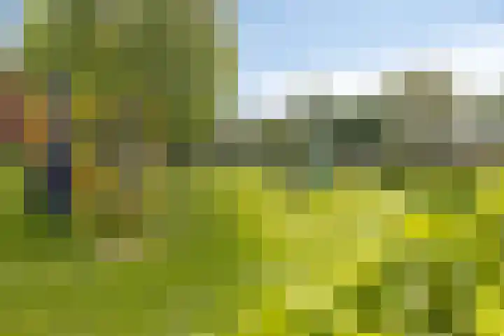 van Ambestraat 5 Bemmel thumbnail 30