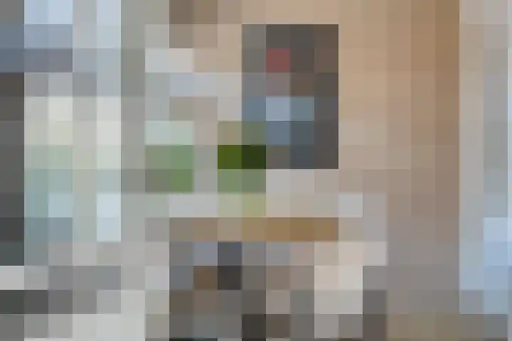 van Ambestraat 5 Bemmel thumbnail 4