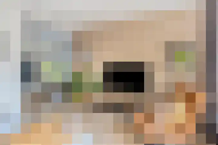 van Ambestraat 5 Bemmel thumbnail 6