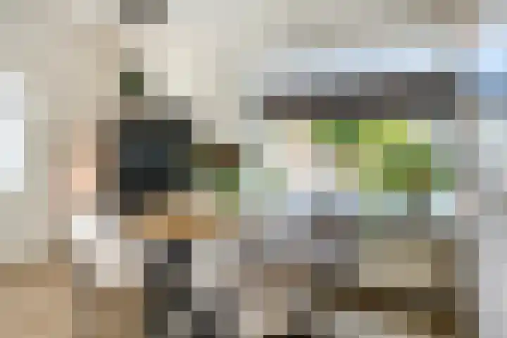 van Ambestraat 5 Bemmel thumbnail 7