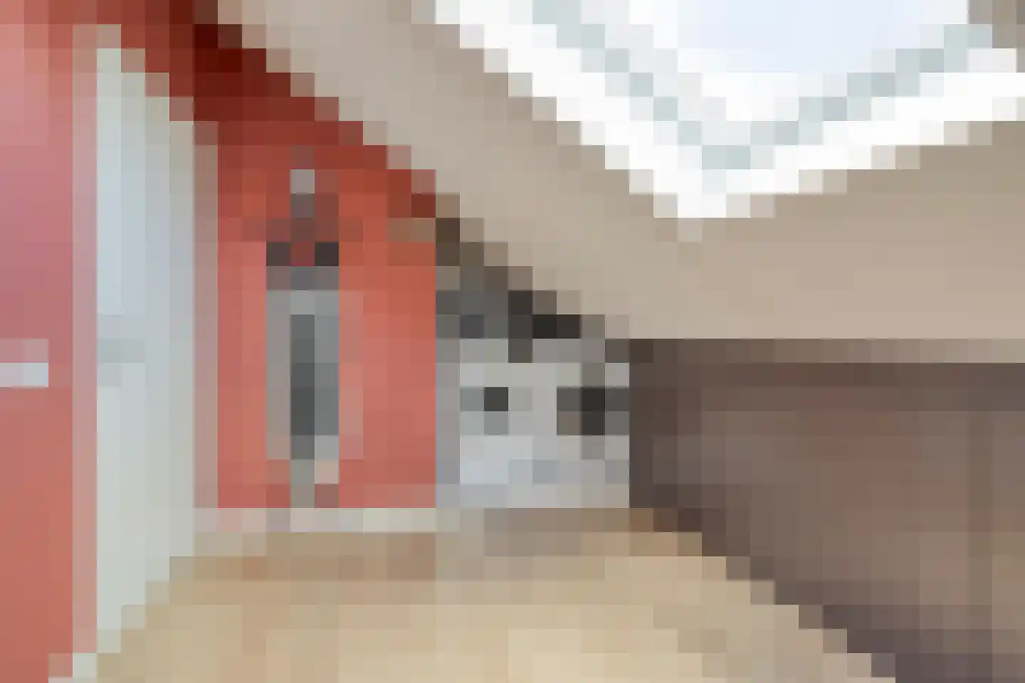 Van Amerongenerf 42 Veenendaal thumbnail 27