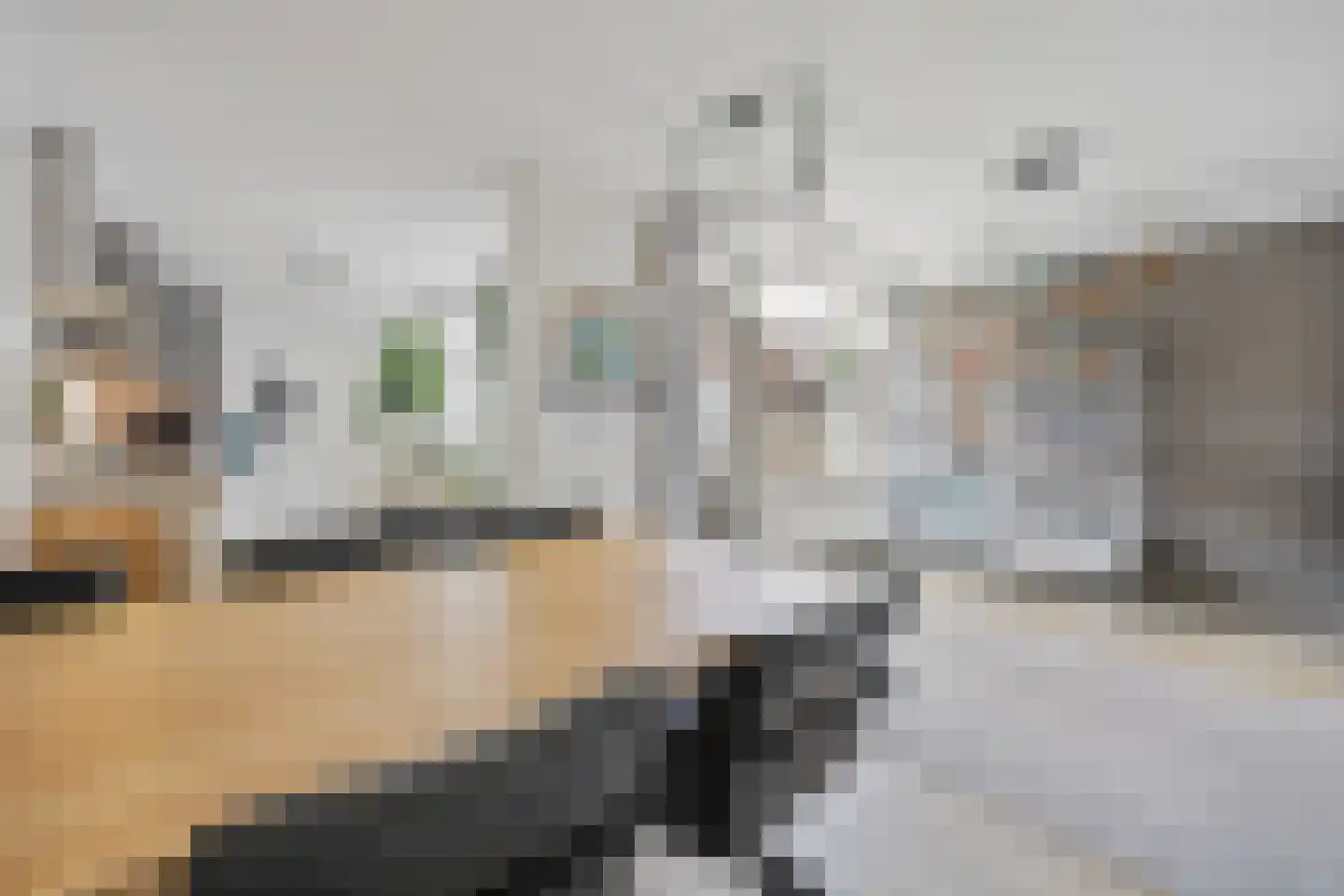 Van Amstelstraat 8 Afferden thumbnail 12