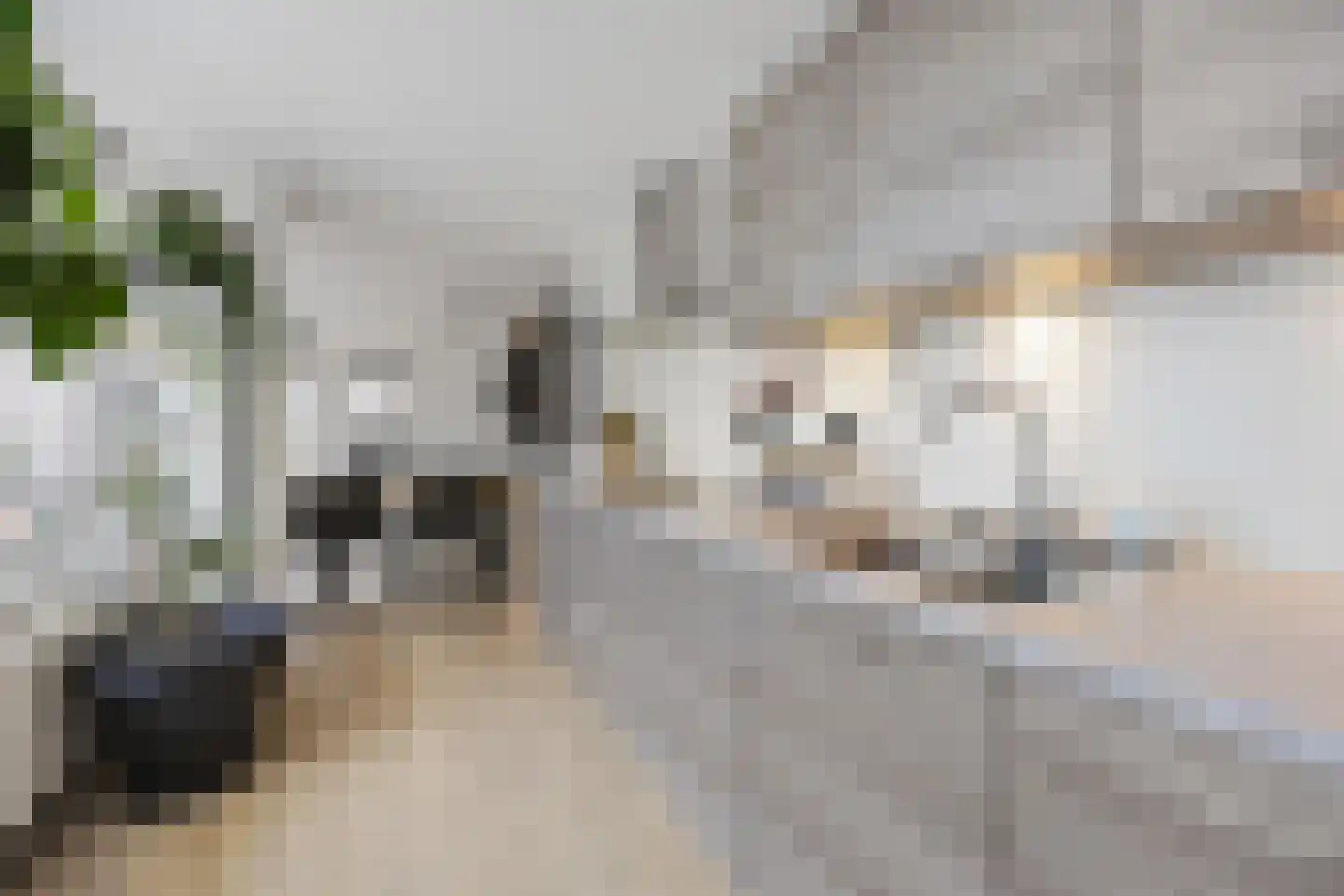 Van Amstelstraat 8 Afferden thumbnail 16