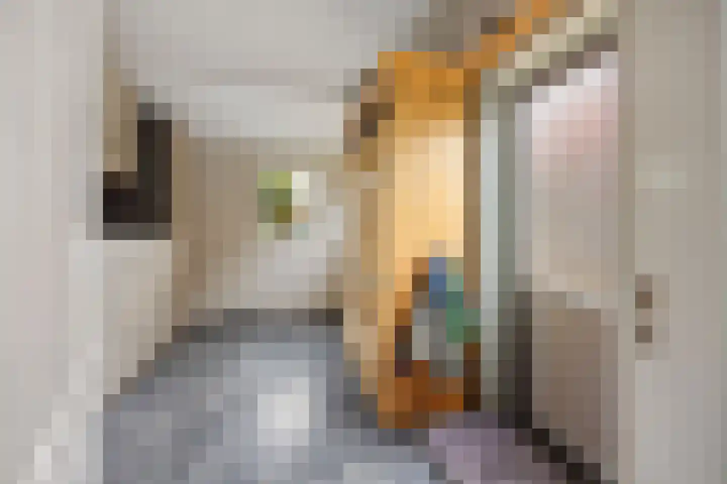 Van Amstelstraat 8 Afferden thumbnail 17