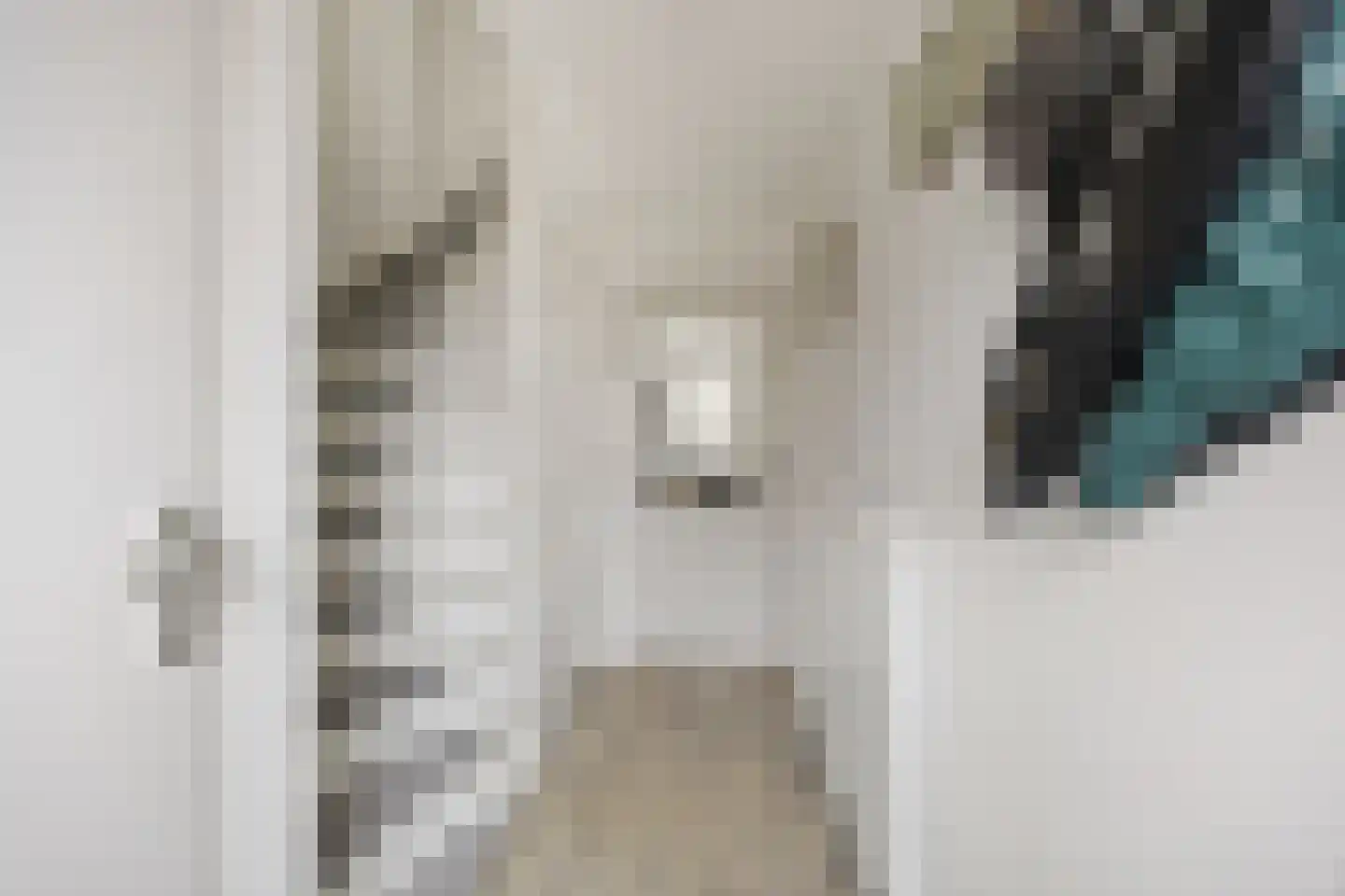 Van Amstelstraat 8 Afferden thumbnail 21