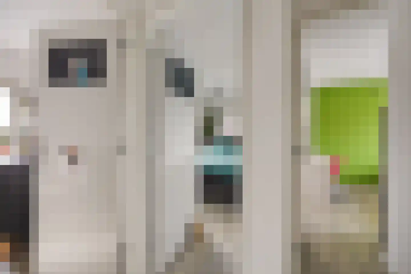 Van Amstelstraat 8 Afferden thumbnail 35