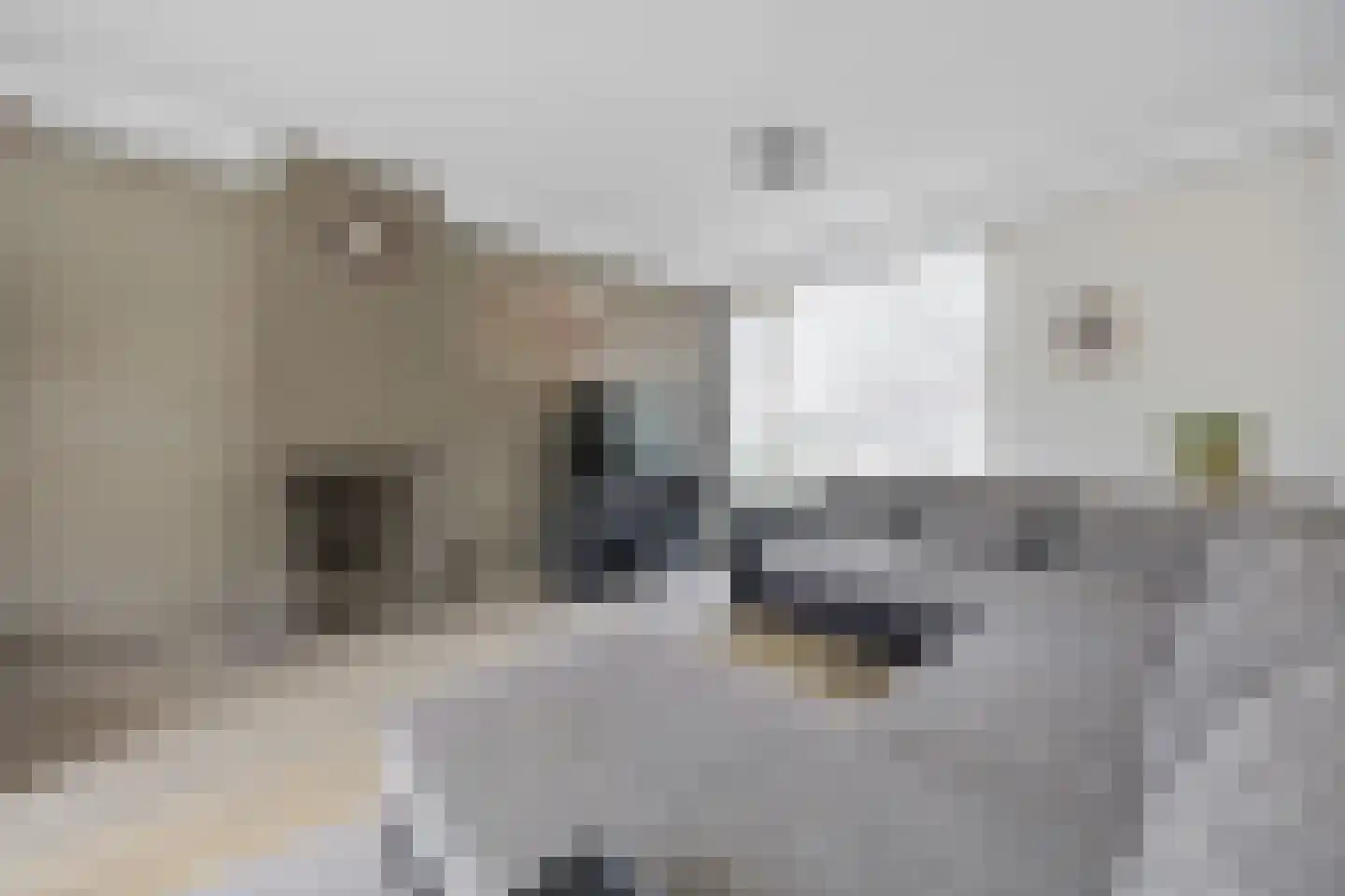 Van Amstelstraat 8 Afferden thumbnail 7
