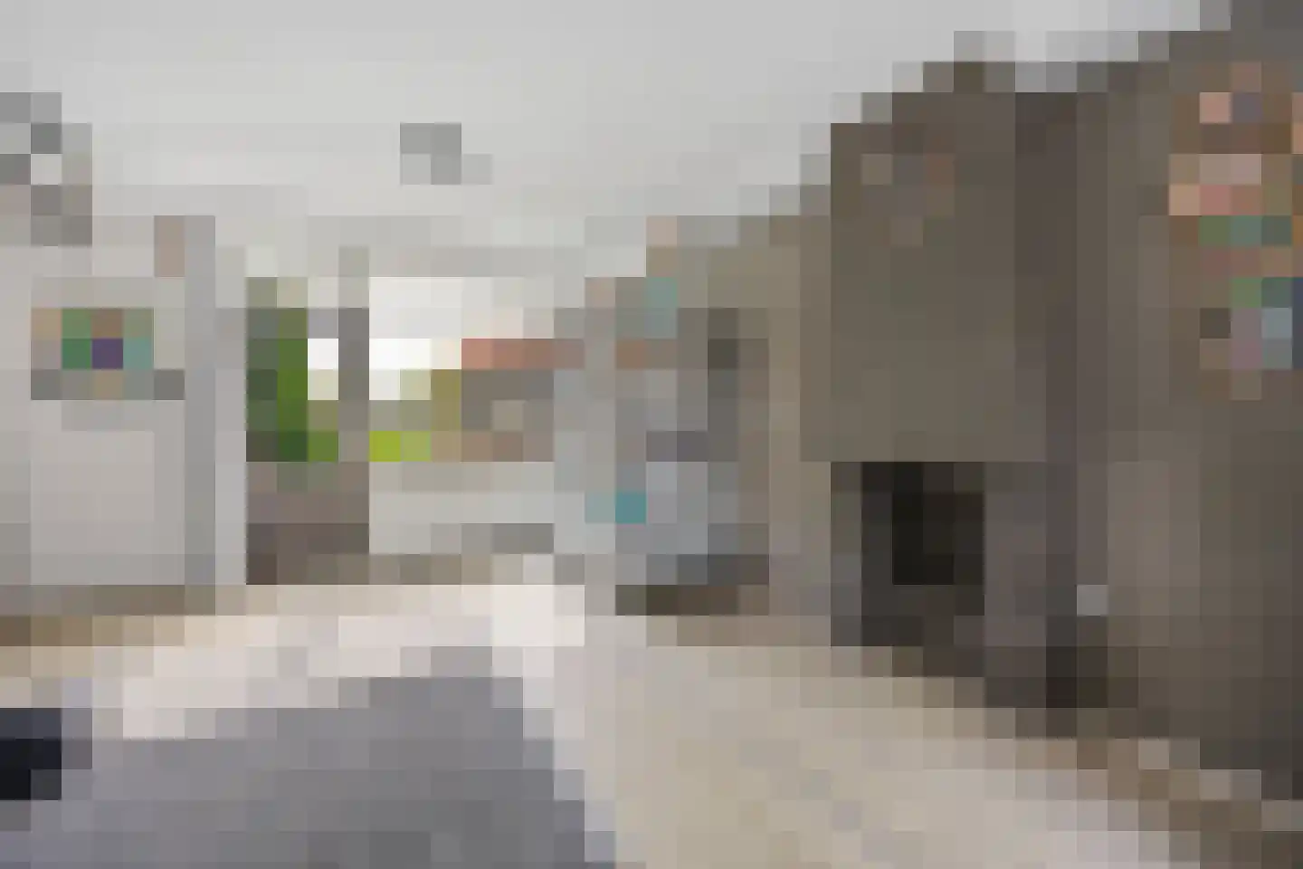 Van Amstelstraat 8 Afferden thumbnail 8