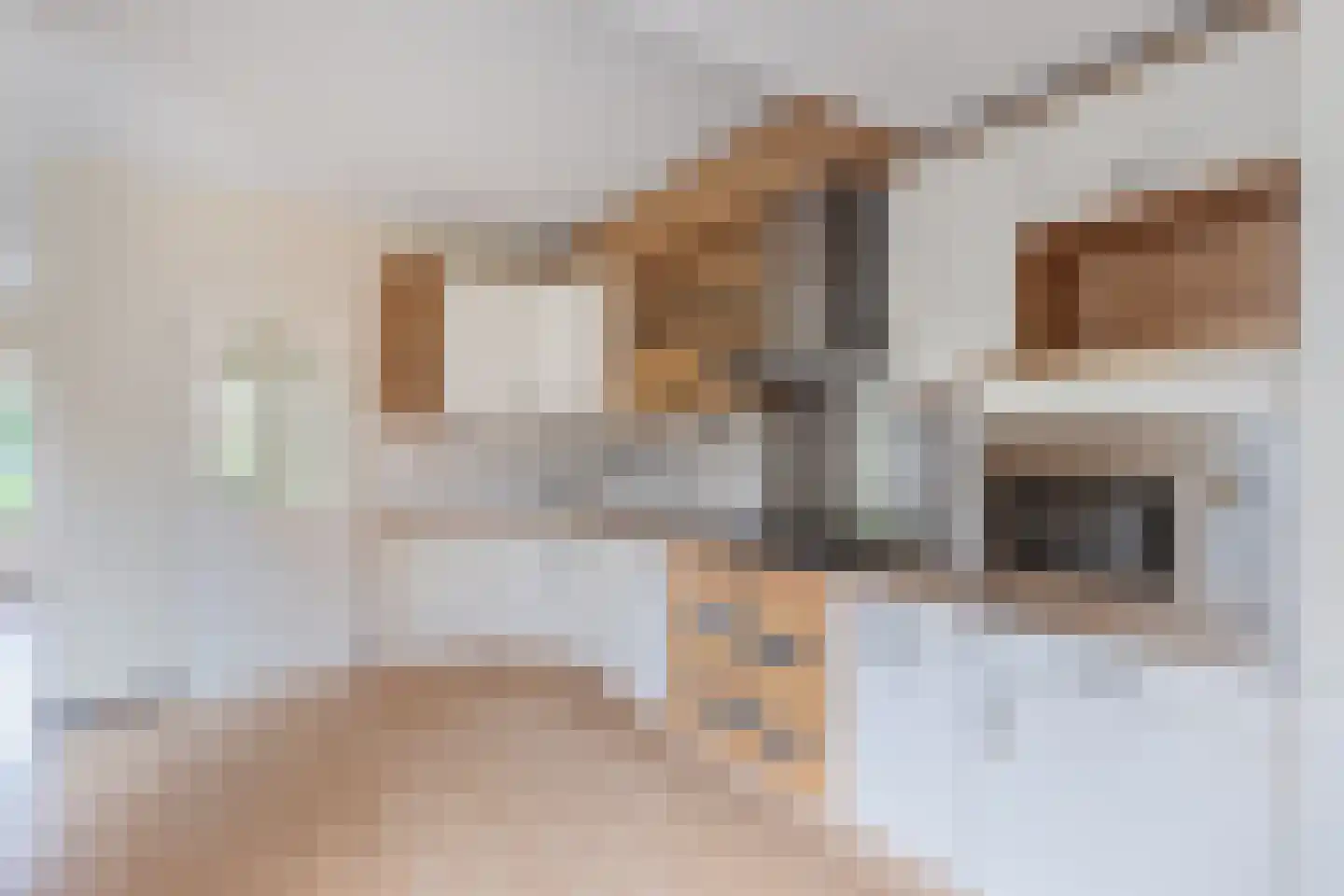 Van Andel-Ripkestraat 31 Franeker thumbnail 12
