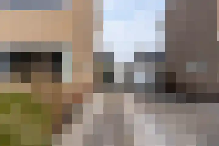 Van Andel-Ripkestraat 51 Franeker thumbnail 35