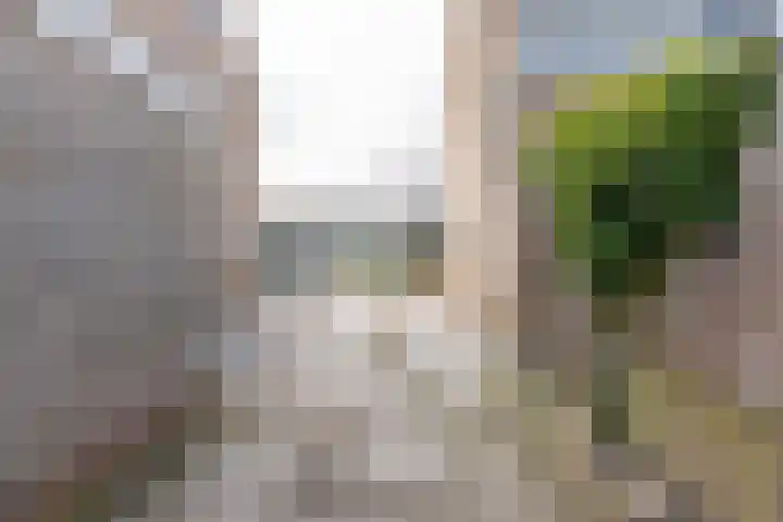 Van Andel-Ripkestraat 51 Franeker thumbnail 36